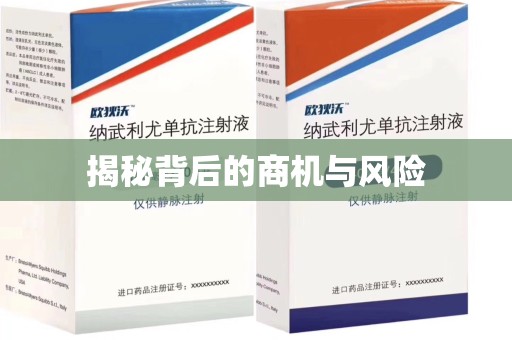 太原揭秘背后的商机与风险