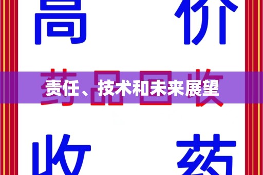 太原责任、技术和未来展望