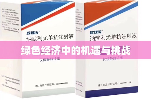 太原绿色经济中的机遇与挑战