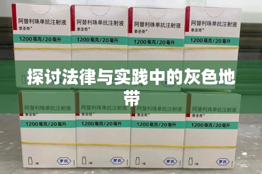 太原探讨法律与实践中的灰色地带