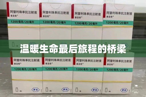 太原温暖生命最后旅程的桥梁