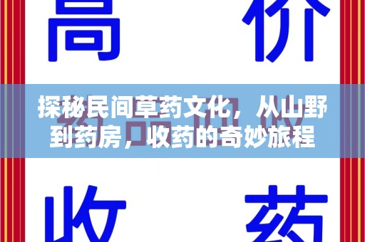 太原探秘民间草药文化，从山野到药房，收药的奇妙旅程